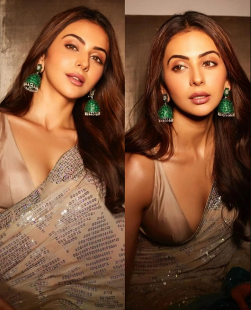 Metallic sarees